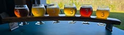 piutre of a flight to beers on an dark table at Sheep's Brew brewery